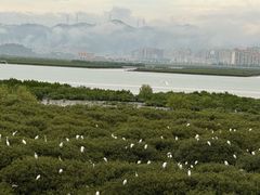 -盐洲岛