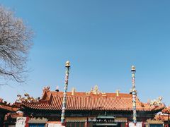 -大召无量寺