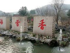 -香雪海