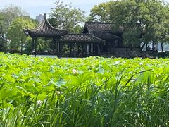 -高子水居