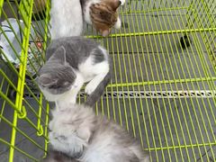 -大悦城(沈阳中街店)