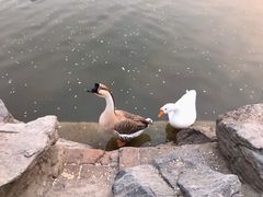 -团结湖公园