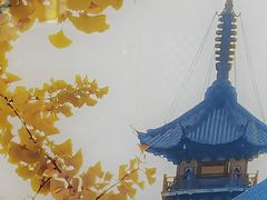 -龙华素斋(龙华路店)