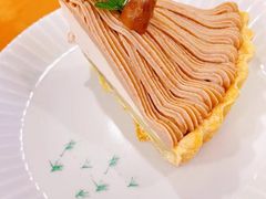 -猫里有甜