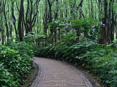 -同里国家湿地公园