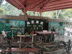 -西双版纳原始森林公园