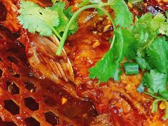 酱香鲤鱼-大家乐东北菜(富河园店)