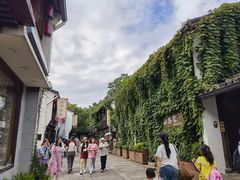 -运河游船(武林门码头)