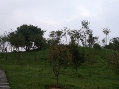 -聚龙山公园