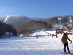 雪道-亚布力新体委滑雪场