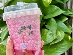 -绿小院(荔湾店)
