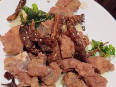 -滇铺子•云南特色菜•野生菌季(南亚福景路·海埂大坝店)