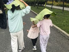 -荷花荡