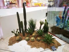 -武汉光谷K11