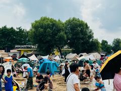 -长春市南湖公园