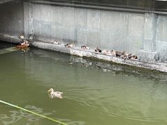 -浙江省博物馆(孤山馆区)