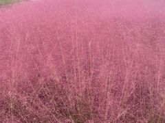 -江苏三台山国家森林公园