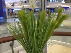 -首开·龙湖成都西宸天街