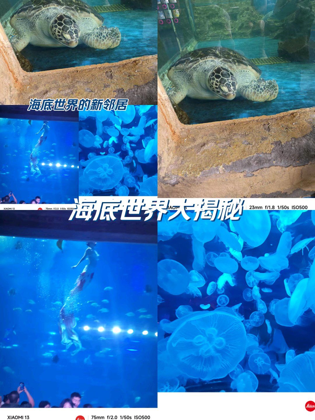海底世界的奇妙之旅