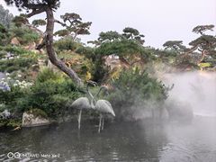 -罗红摄影艺术馆