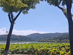 -南北湖风景区