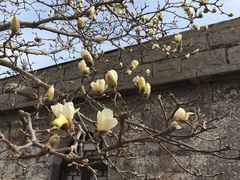 -于家石头村景区