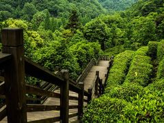 -青城山