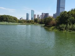 -艾溪湖湿地公园