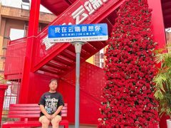 -WFC会仙楼观景台