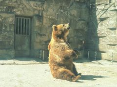 -哈尔滨北方森林动物园