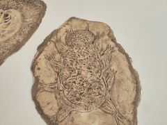 -大田秀则画廊