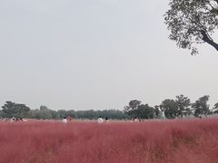 -汉长安城未央宫国家考古遗址公园