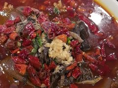 -一楼食业·美食人家