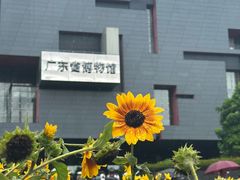 -广东省博物馆