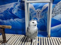 -成都浩海立方海洋公园