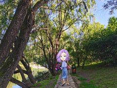 -贵阳市花溪国家城市湿地公园