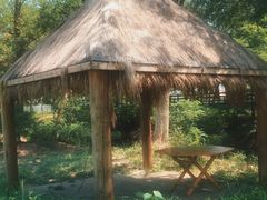 -西青郊野公园