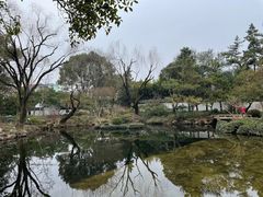-秋霞圃