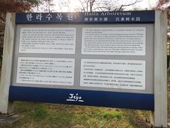 -汉拿树木园