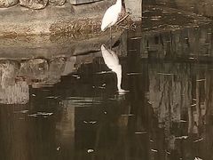-西安市长乐公园
