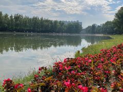 -森林公园(尖草坪区)