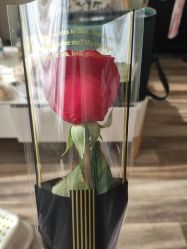 -母仪天下月子中心(光谷店)