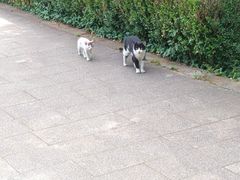 -上海佘山国家森林公园天马山园