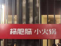 -杨肥肠火锅大排档(火车站花园店)