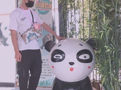 -辛玛王国游乐园