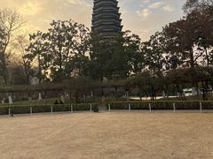 -红梅公园