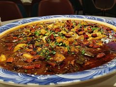 -新概念来凤鱼(璧山店)