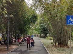 -晓港公园