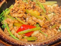 -煲煲好(朝阳门店)