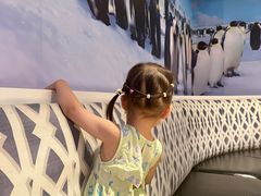 -帝企鹅自助餐厅•儿童岛•真企鹅(长隆企鹅酒店)